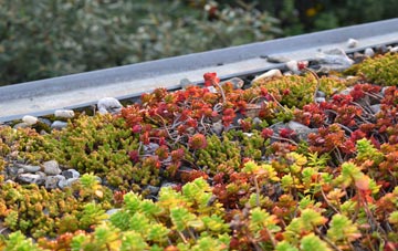 the cost of Eden green roof installation