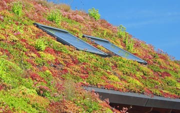 Eden living roof systems