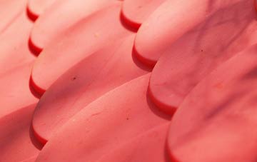 Eden plastic roof costs