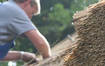 professional Eden thatchers