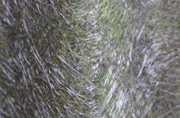 Eden fibreglass roof work